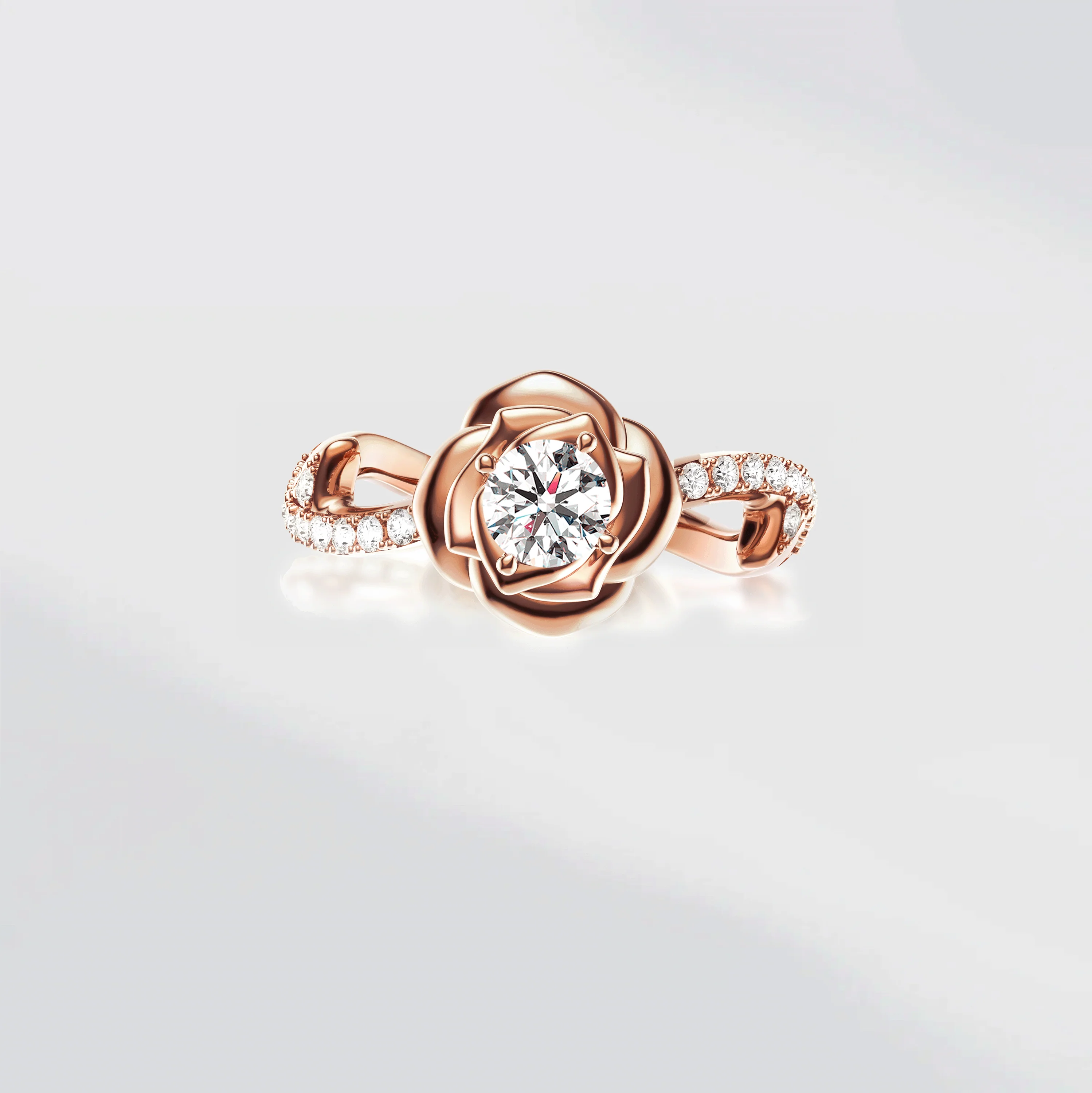 Rose de Mai - Image 4